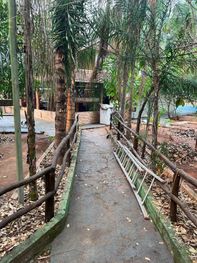 Chácara, 5 quartos, 3 hectares - Foto 26