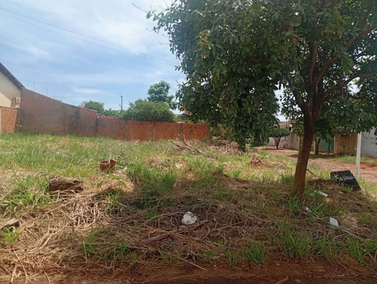 Terreno, 250 m² - Foto 5