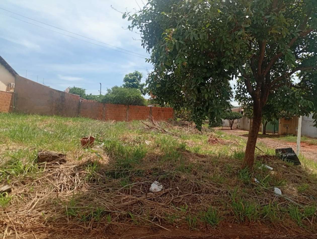 Terreno, 250 m² - Foto 6