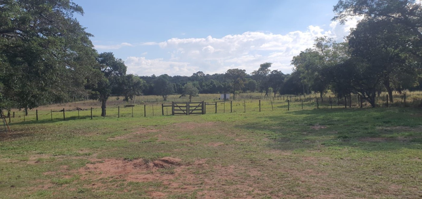Rural à venda com 21000m² de terreno no Sitio Santa Maria, Campo Grande (MS) — foto 11 de 18