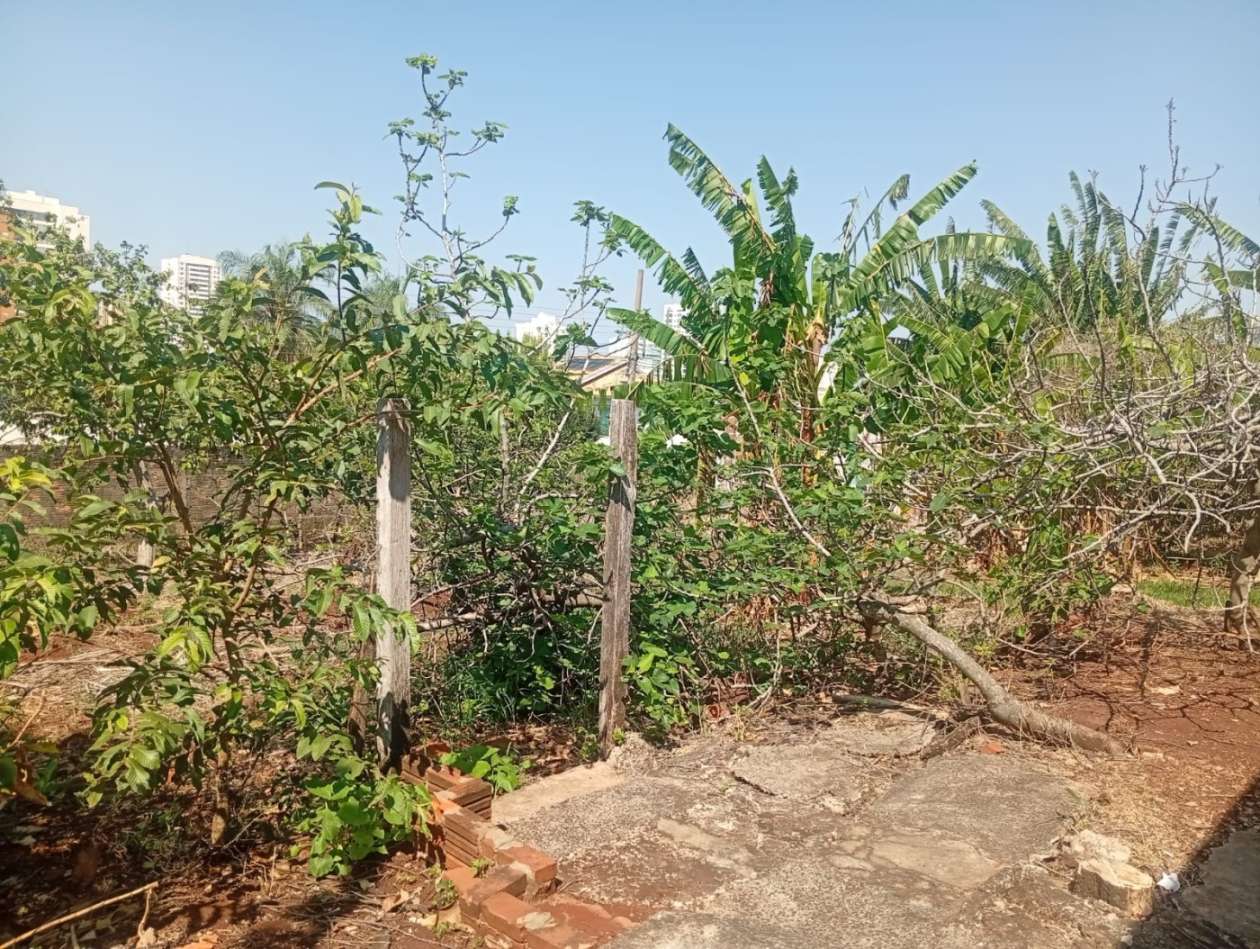 Terreno à venda com 1320m² de terreno no Monte Castelo, Campo Grande (MS) — foto 5 de 13