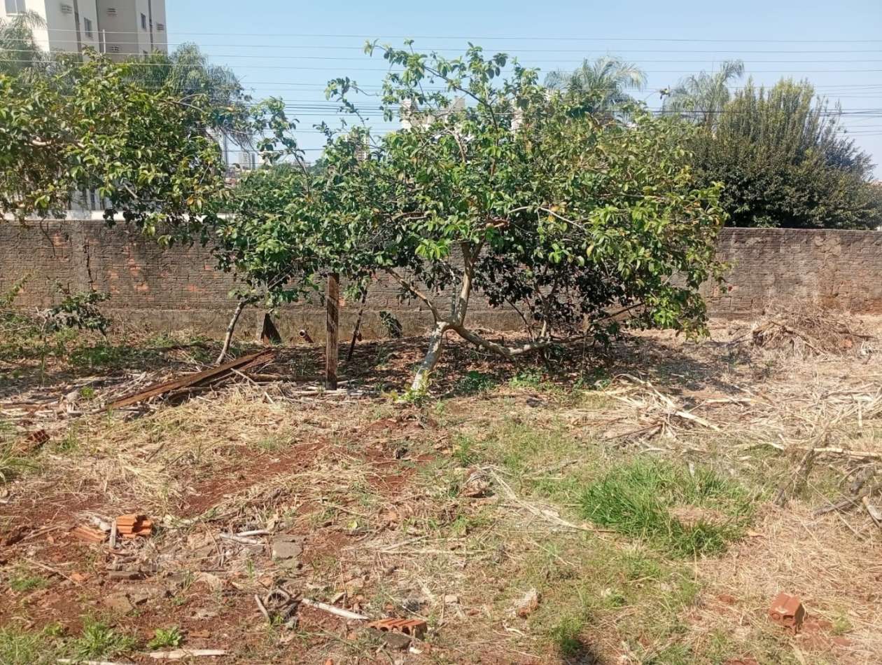Terreno à venda com 1320m² de terreno no Monte Castelo, Campo Grande (MS) — foto 10 de 13