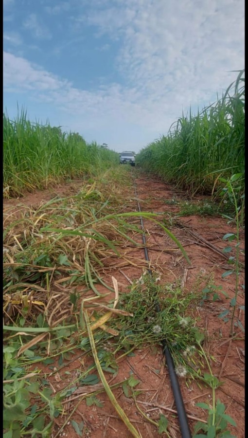 Terreno à venda com 1550000m² de terreno no Jaraguari (MS) — foto 6 de 19