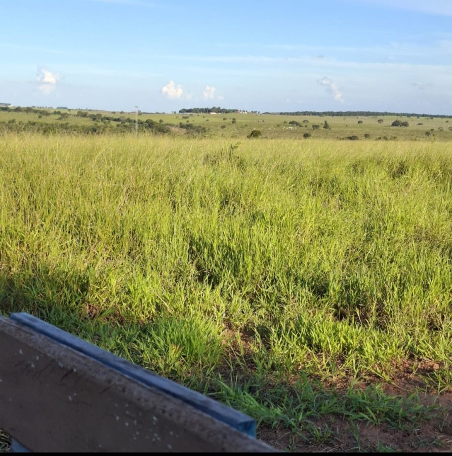 Terreno à venda com 1550000m² de terreno no Jaraguari (MS) — foto 13 de 19
