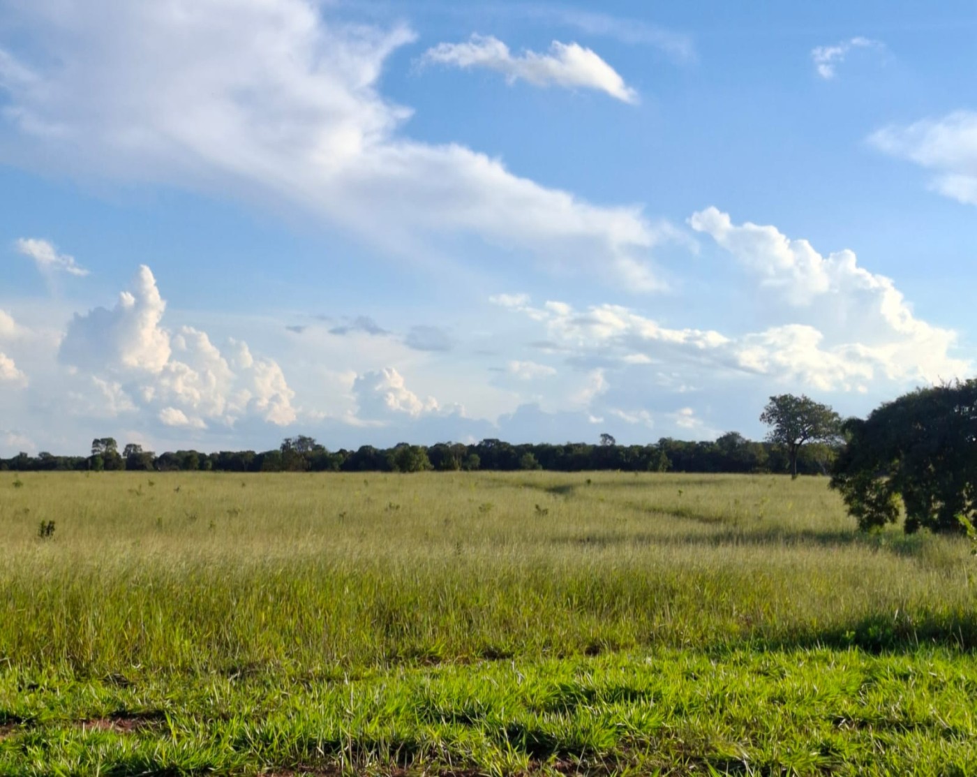 Terreno à venda com 1550000m² de terreno no Jaraguari (MS) — foto 16 de 19