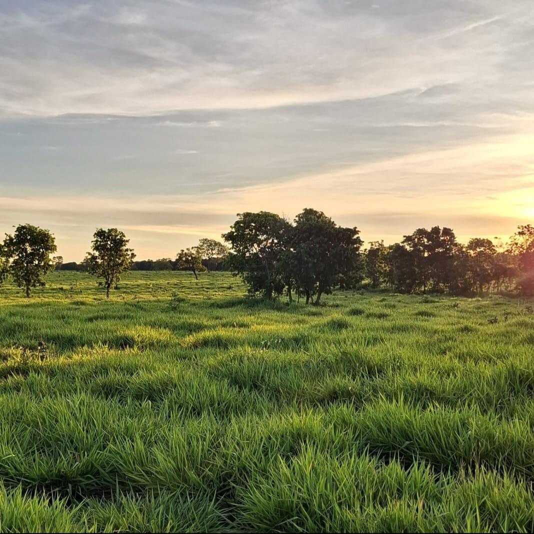 Terreno à venda com 1550000m² de terreno no Jaraguari (MS) — foto 17 de 19